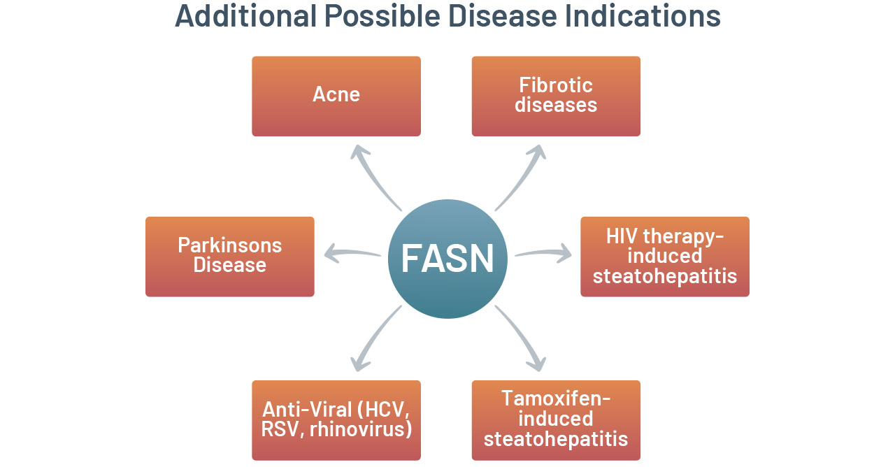 FASNHIV therapy-induced steatohepatitis Tamoxifen-induced steatohepatitisAnti-Viral (HCV, RSV, rhinovirus)Parkinsons DiseaseFibrotic diseasesAcneFASNAdditional Possible Disease Indications